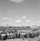 Hushållningssällskapets Utställning i Skara 14 -16/6 1957: Tjuruppvisning.