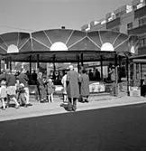 Skara. 
Vår Vänliga Vardag 6/6 1969.