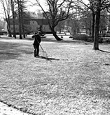Skara. Kommunalarbetare Ström och Käck vårstädar i Museiparken 19..