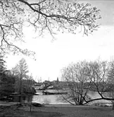 Skara. 
Fotohandlarmöte i Stockholm slutet av 1940-talet. 
Gösta Johansson, Fotocentralen. Göran Pettersson o Tittie Rehn.