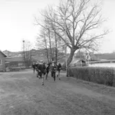 Skara läroverk.
Sången i Botan.
6:2 på språng mot Botan 1965.
Viktoriasjön i bakgrunden.