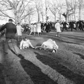 Skara läroverk.Ringdans, 1965.