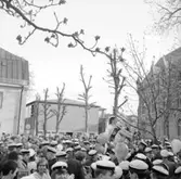 Hissning i Krabbelund, 1963.