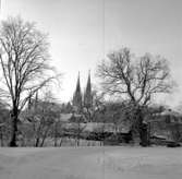 Skara. Domkyrkan från Stadsträdgården.