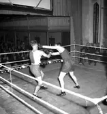 Skara. Boxning, Skara Teater 1950.