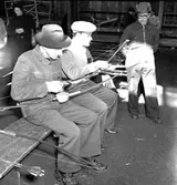 Skara. Bågskytte, uppvisning i SKLS Hallen 11/3 1951.