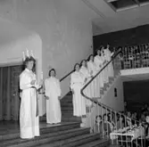 Luciafest 1956.