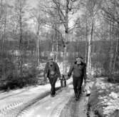 Skara. Idrott: GSIK vid SI-stugan 1955.

Foto: Stig Rehn 3.