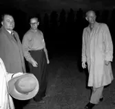 Skara. Händelser: Riksidrottsförbundet 50 år, 1903-1953.

Riksidrottsförbundet, RF, eg. Sveriges Riksidrottsförbund, den svenska idrottsrörelsens ledande organ. 
http://www.ne.se/jsp/search/article.jsp?i_art_id=293741