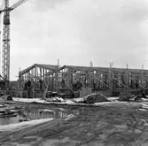 Skara. Idrottshallen bygges 1962-1963.