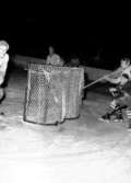 Skara. Ishockey 21/1 1955.