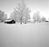 Skara.
Västergötlands museum.
Fornbyn 1965.
Hornborgastugan och Härjevadskyrkan i bakgrunden.