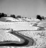 Skara. Bäckaliderna 1940-talet.