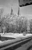 Skara. Krabbelund, snöoväder 1948.


Grönsakstorget