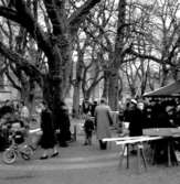 Skara. Krabbelund, 1955.


Grönsakstorget