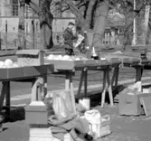 Skara. Krabbelund, torghandel 1960.


Grönsakstorget