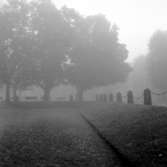 Skara. Krabbelund, dimmig morgon 1951.


Grönsakstorget