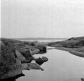 Familjen Olle Sahlström på kusten, Ulebergshamn 1965.