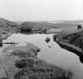 Familjen Olle Sahlström på kusten, Ulebergshamn 1965.