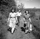 Rolf och Birgit Överström och Tittie Rehn 1949.