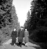 Rolf och Birgit Överström och Tittie Rehn 1949.