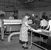 Skara. El-tvätten (maskintvätten) i Qvänsels uthus 1958.