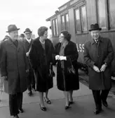 Skara. Mejeriförbundets ostmässa i Idrottshallen 19-20 november 1966.