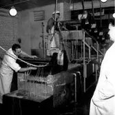 Skara. SKLS, 17/11 1960.

SKLS= Skaraborgs läns Slaktdjursförsäljnings Förening.