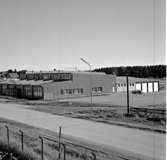 Skara. SKLS, hallen 12/9 1962.

SKLS= Skaraborgs läns Slaktdjursförsäljnings Förening.