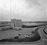 Skara. Svalöf från Axvallagatan 1960-talet.