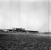 Skara. 
West-Expo 1968.