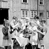 Göran Südows födelsedagskalas.
Barnen är fr.v:
Lena Wilsson, Göran Südow, Christina Brodin Nordström (lite skymd), Kerstin ?, Anita Nygren, Stina Wilsson (biter i något), Marita Brodin Östberg (ljus flicka i klänning), Christina (Chrisse) Dahlberg Jaatinen (mörk flicka bakom) bor numera i Helsingfors, Gösta Swanberg.