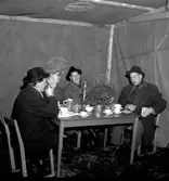 Lions Clubs International, internationell organisation med ändamål att idka välgörenhet och bidra till ökad förståelse mellan jordens folk. Lions grundades 1917 i Chicago och kom 1948 till Sverige och därmed till Europa. Organisationen omfattar 40Â 600 klubbar i 177 länder med 1,4 miljoner medlemmar (1993).
http://www.ne.se/jsp/search/article.jsp?i_art_id=242696