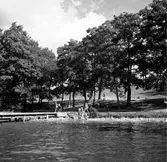 Flämslätts stiftsgård. 
Sommarbild 1955.