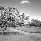 Stora Ekeberg våren 1955.