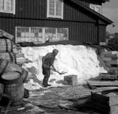 Göteborgs hamn. (1949?)