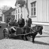 Lions Club.
Reklam för loppmarknad 1963. Bakom hästen Lions-medlemmarna Evert Andersson och Folke Eriksson.