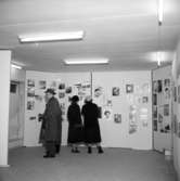 Skara Fotoklubb.
15-årsjubileet 1956. Utställningen har öppnat.