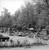 Full kommers på Grönsakstorget, Skara, 1966.

Krabbelund