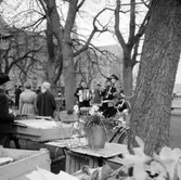 Vårtoner från Frälsningsarmén i Krabbelund vid Grönsakstorget, Skara, 1955.