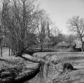 Vårbild från Domprostgården, Skara. 1955.