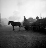 Vedlossning vid järnvägen i Skara krisåret 1941. 
Kusk: Egon Sahlström.