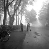Kommunalarbetarna Elof Johansson (Brandshagen) och Oskar Käck höststädar vid Botan, Skara. 1951.