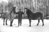 EN MAN SOM HÅLLER TVÅ HÄSTARKarl Blom, Karlskog, Bällefors.