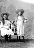 Ateljé. Två flickor i stora hattar och en hund.Fotograf: Ellen Kock? Axel Lundbäck m.fl.Gullspångssamlingen.Bilder från Gullspång med omnejd.
