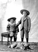 Ateljé. Två pojkar i storbrättade hattar och en hund.Fotograf: Ellen Kock? Axel Lundbäck m.fl.Gullspångssamlingen.Bilder från Gullspång med omnejd.
