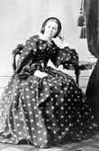 Fröken Olivia Melin.

Laura Larsson, f.1825, drev den första fotografiska ateljén i Åmål 1860-1864. Ateljén övertogs av hennes bror Axel Larsson.