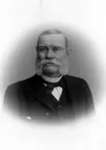 Rådman Carl Henrik Sjöstedt, Hjo.