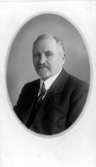 Viktor Edward Larsson, Lerdala.
Ordf. i Kommunalstämman 1908. Landstingsman 1910. Ledamot av första kammaren 1914. 
Fullmäktig i Landskommunernas förbund 1919.