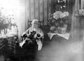 Hedda Blomquist (1833-1930). Gåva av Margit Vinge 1983. Foto: 1928?
Släthårig tax.